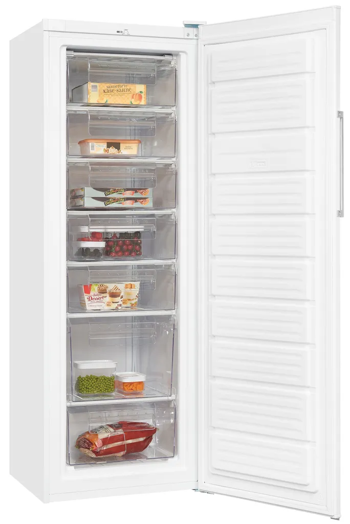 Exquisit Gefrierschrank GS280-H-040E Inoxlook | Standgerät | 242 L Volumen | Inoxlook 11 Exquisit Gefrierschrank GS280-H-040E Inoxlook | Standgerät | 242 L Volumen | Inoxlook - Image 9