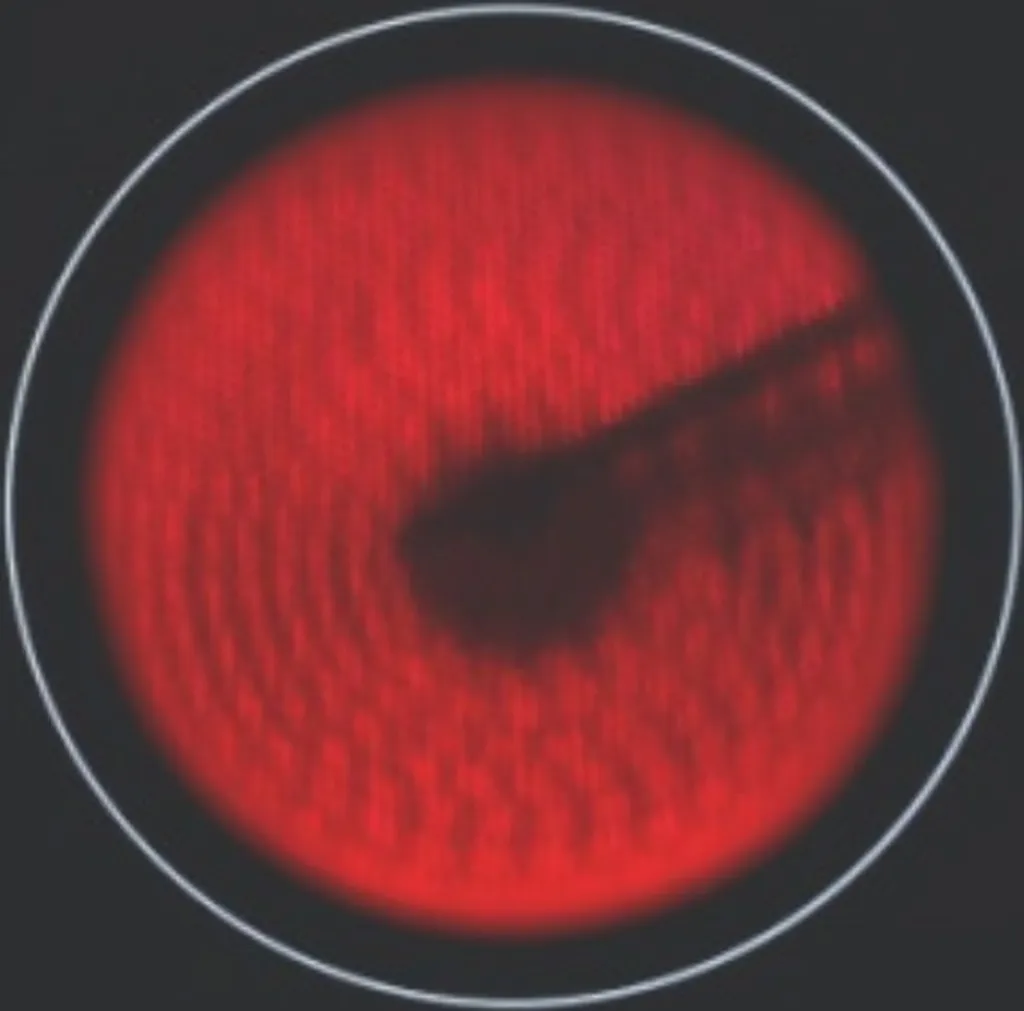 KF-IX-2F Glaskeramik Doppelkochplatte Edelstahl 230V Autark 2 Einbau 7 KF-IX-2F Glaskeramik Doppelkochplatte Edelstahl 230V Autark 2 Einbau - Image 5