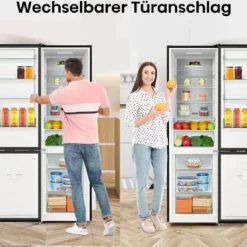 Hisense RB470N4CFC Kühl-Gefrier-Kombination NoFrostPlus LED-Beleuchtung 13 Hisense RB470N4CFC Kühl-Gefrier-Kombination NoFrostPlus LED-Beleuchtung -Angebote Herd Liebe Store 4b3434fe45febde2d69562618f4e5060