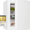 Exquisit Mini Gefrierschrank GB60-150E WeissPV | 42 L Volumen | EEK: E | Weiß -Angebote Herd Liebe Store 8f3bd3b73b040d369bd23227572ffde2