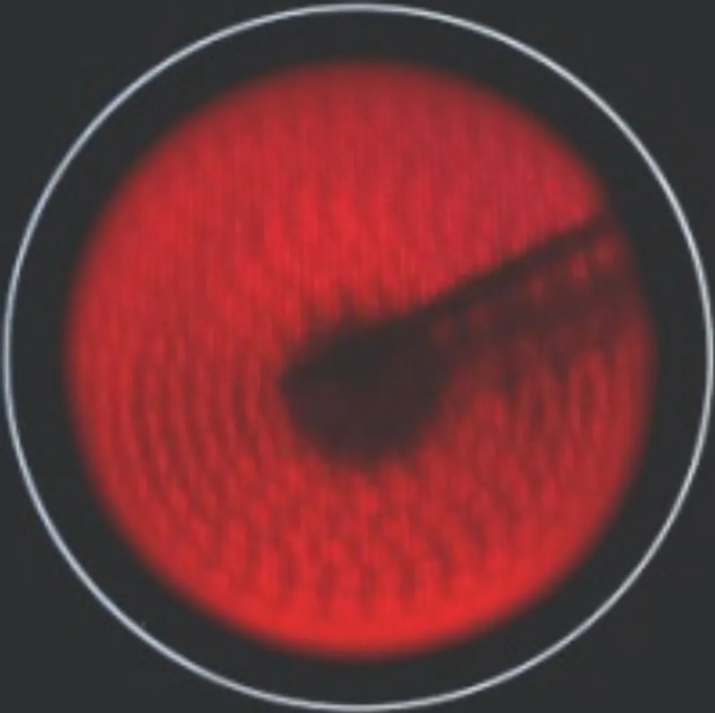 KF-IX-2F Glaskeramik Doppelkochplatte Edelstahl 230V Autark 2 Einbau 8 KF-IX-2F Glaskeramik Doppelkochplatte Edelstahl 230V Autark 2 Einbau - Image 6