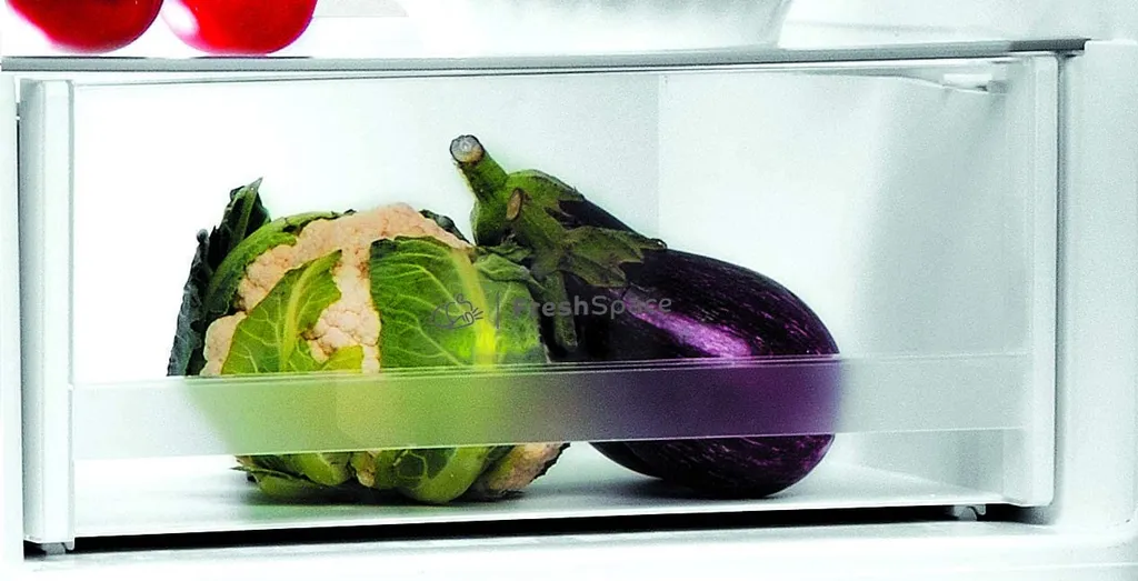 Privileg PVB 476 SE Kühl-/Gefrier-Kombination / LessForst / 308L Gesamtnutzinhalt/ 111L Gefrieren/ 233 KWh Strom/Jahr /LED-Licht /Superkühlfunktion / 4-Sterne Gefrierfach/silber 6 Privileg PVB 476 SE Kühl-/Gefrier-Kombination / LessForst / 308L Gesamtnutzinhalt/ 111L Gefrieren/ 233 KWh Strom/Jahr /LED-Licht /Superkühlfunktion / 4-Sterne Gefrierfach/silber - Image 4