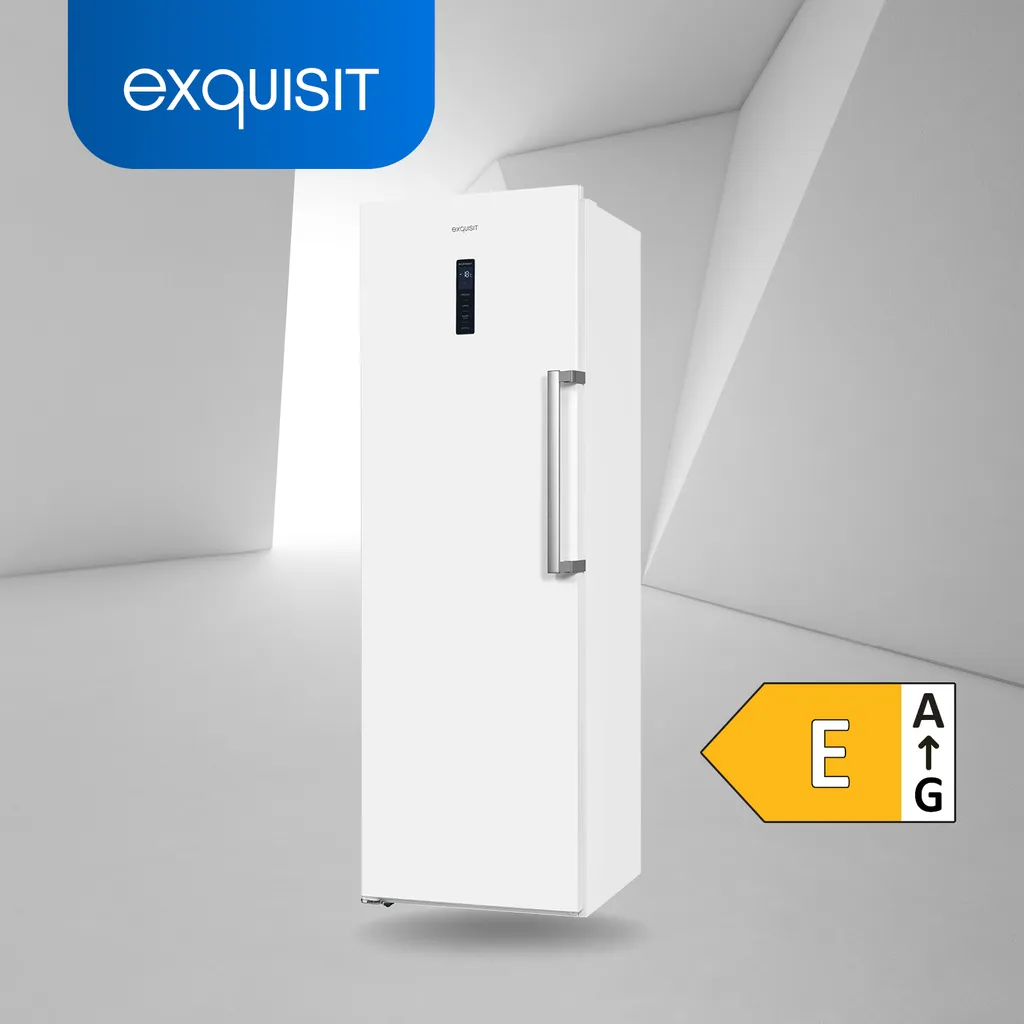Exquisit Gefrierschrank GS295-NF-H-040E Weiss | 274 L Nutzinhalt | Weiß 4 Exquisit Gefrierschrank GS295-NF-H-040E Weiss | 274 L Nutzinhalt | Weiß - Image 2